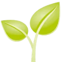 BioProphyl BE